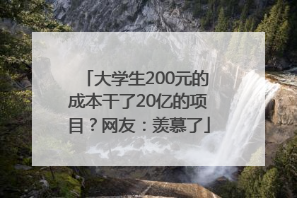 大学生200元的成本干了20亿的项目？网友：羡慕了